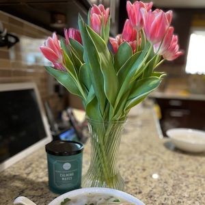 Meet your Posher, Teri